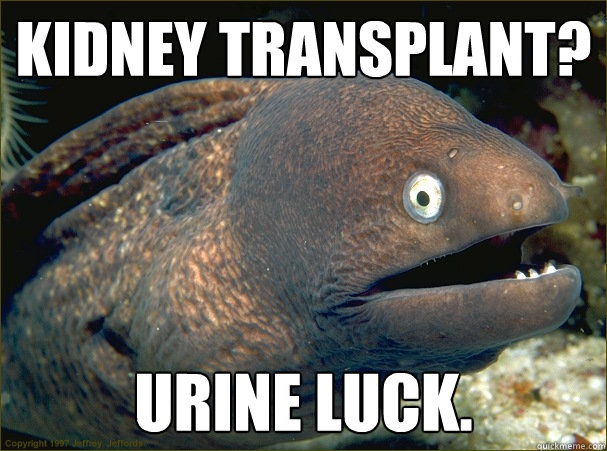 kidney transplant? urine luck. - kidney transplant? urine luck.  Bad Joke Eel