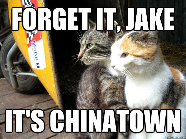 Forget it, Jake it's chinatown - Forget it, Jake it's chinatown  Restraining Cat