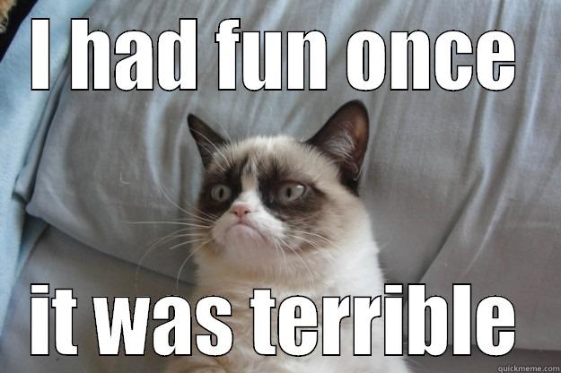 I HAD FUN ONCE IT WAS TERRIBLE Grumpy Cat