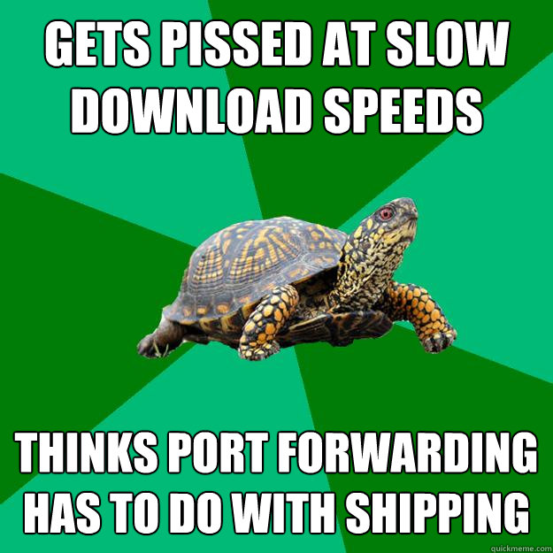 gets pissed at slow download speeds thinks port forwarding has to do with shipping  Torrenting Turtle