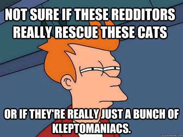 Not sure if these redditors really rescue these cats Or if they're really just a bunch of Kleptomaniacs. - Not sure if these redditors really rescue these cats Or if they're really just a bunch of Kleptomaniacs.  Futurama Fry