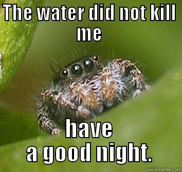 THE WATER DID NOT KILL ME HAVE A GOOD NIGHT. Misunderstood Spider