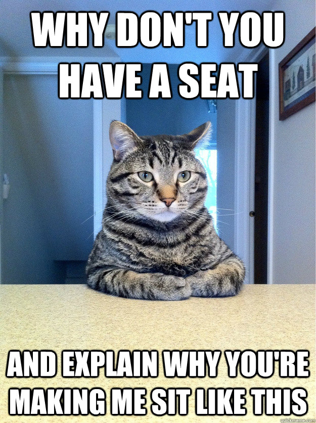 Why don't you have a seat and explain why you're making me sit like this  Chris Hansen Cat