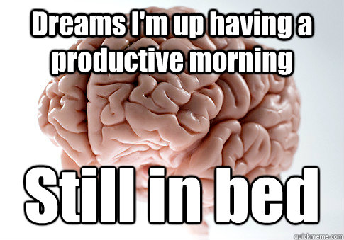 Dreams I'm up having a productive morning Still in bed   Scumbag Brain