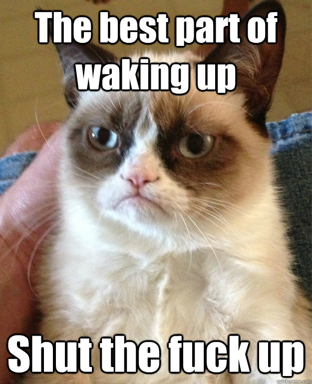 The best part of waking up  Shut the fuck up  Angry Cat