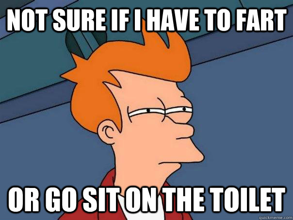 Not sure if I have to fart or go sit on the toilet   Futurama Fry