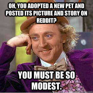 Oh, you adopted a new pet and posted its picture and story on reddit? You must be so modest.   Condescending Wonka