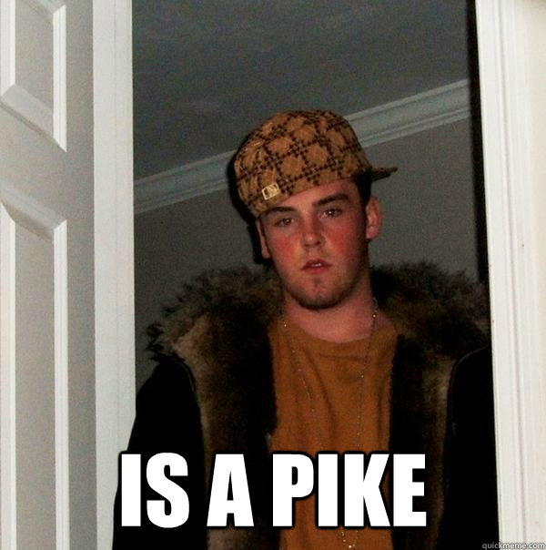  is a pike  Scumbag Steve