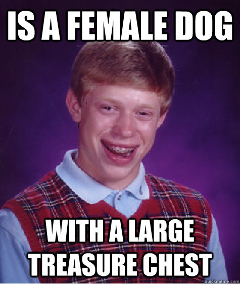 is a female dog with a large treasure chest  Bad Luck Brian