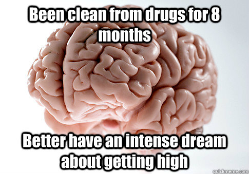 Been clean from drugs for 8 months Better have an intense dream about getting high   Scumbag Brain