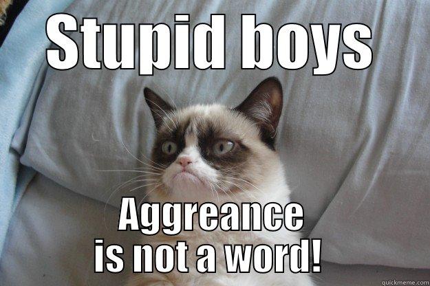 STUPID BOYS AGGREANCE IS NOT A WORD!  Grumpy Cat