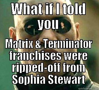 Believe what you want to believe - WHAT IF I TOLD YOU MATRIX & TERMINATOR FRANCHISES WERE RIPPED-OFF FROM SOPHIA STEWART Matrix Morpheus