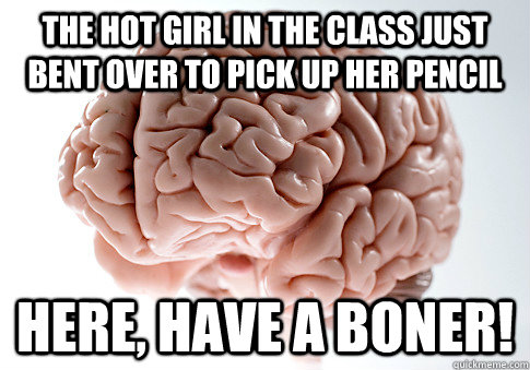 The Hot Girl In the class just bent over to pick up her pencil here, have a boner!  Scumbag Brain