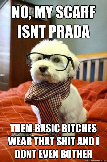 no, my scarf isnt prada
 them basic bitches wear that shit and i dont even bother  Hipster Dog