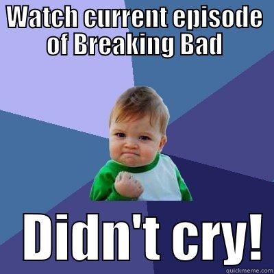 I cry a lot - WATCH CURRENT EPISODE OF BREAKING BAD    DIDN'T CRY! Success Kid