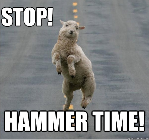STOP! HAmmer TIME!  Dancing Sheep