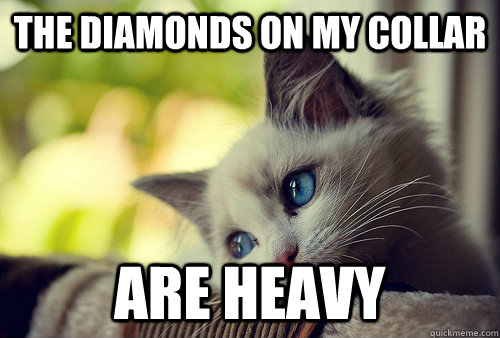 The diamonds on my collar are heavy  First World Problems Cat