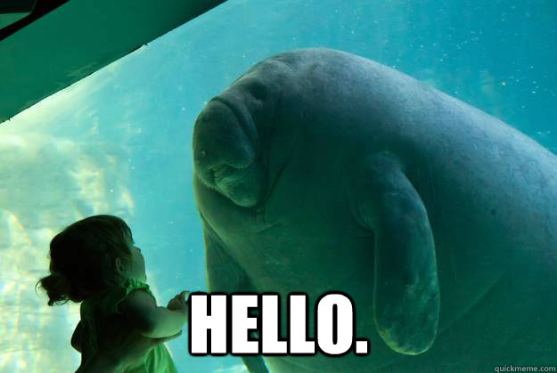   Hello. -   Hello.  Overlord Manatee