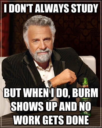 I don't always study but when I do, Burm shows up and no work gets done  The Most Interesting Man In The World