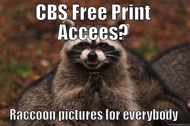 CBS FREE PRINT ACCEES? RACCOON PICTURES FOR EVERYBODY Evil Plotting Raccoon