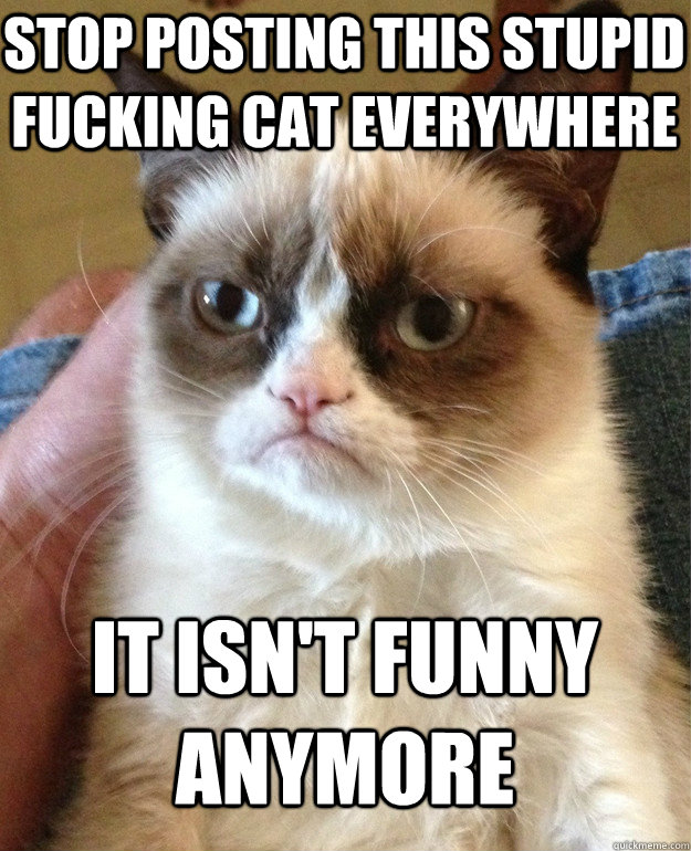 Stop posting this stupid fucking cat everywhere it isn't funny anymore  Grumpy Cat