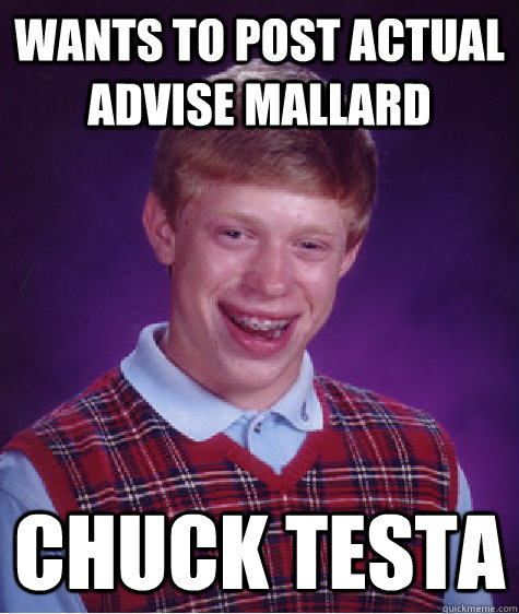 Wants to Post Actual Advise mallard Chuck Testa - Wants to Post Actual Advise mallard Chuck Testa  Bad Luck Brian