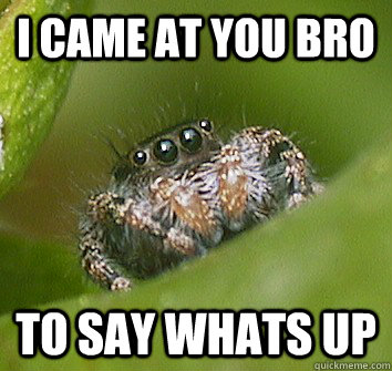 I CAME AT YOU BRO TO SAY WHATS UP - I CAME AT YOU BRO TO SAY WHATS UP  Misunderstood Spider