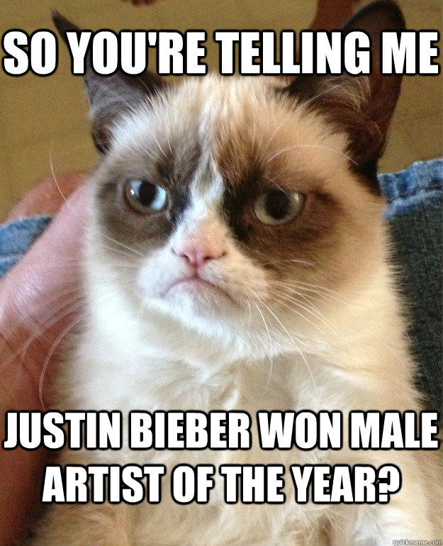 So you're telling me Justin Bieber won male artist of the year?  Grumpy Cat