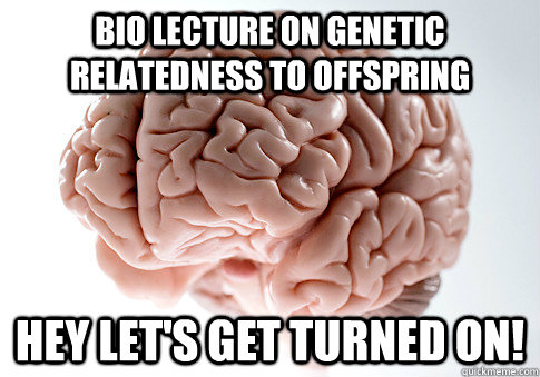 BIO LECTURE ON GENETIC RELATEDNESS TO OFFSPRING HEY LET'S GET TURNED ON! - BIO LECTURE ON GENETIC RELATEDNESS TO OFFSPRING HEY LET'S GET TURNED ON!  Scumbag Brain