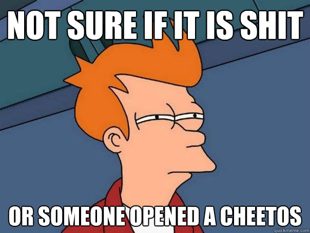 Not Sure if it is Shit or someone opened a Cheetos - Not Sure if it is Shit or someone opened a Cheetos  Futurama Fry