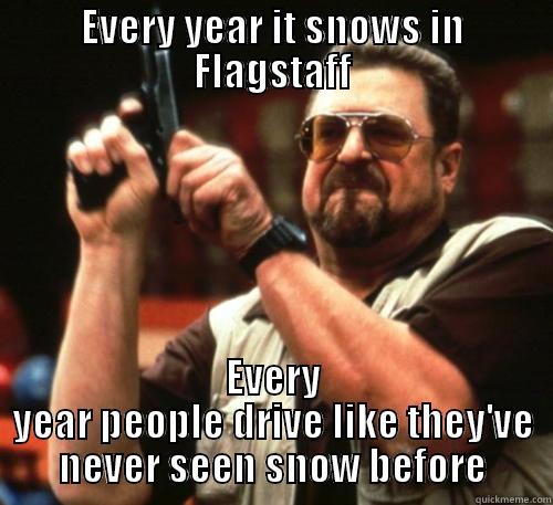 EVERY YEAR IT SNOWS IN FLAGSTAFF EVERY YEAR PEOPLE DRIVE LIKE THEY'VE NEVER SEEN SNOW BEFORE Am I The Only One Around Here