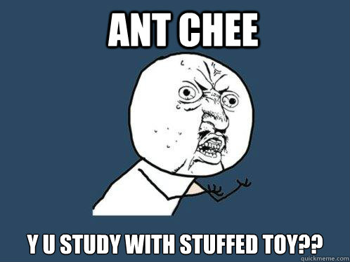 ANT CHEE Y U STUDY WITH STUFFED TOY??  Y U No