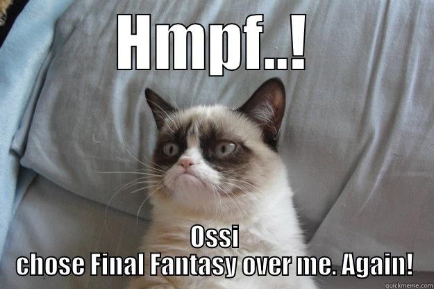 HMPF..! OSSI CHOSE FINAL FANTASY OVER ME. AGAIN! Grumpy Cat