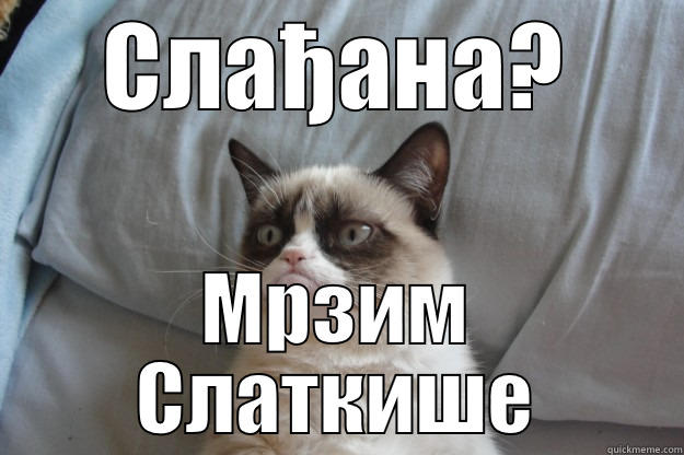 СЛАЂАНА? МРЗИМ СЛАТКИШЕ Grumpy Cat