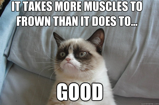 Good It takes more muscles to frown than it does to... - Good It takes more muscles to frown than it does to...  Grumpy Cat Good