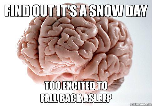 Find out it's a snow day too excited to 
fall back asleep  Scumbag Brain