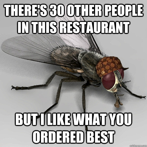 There's 30 other people in this restaurant  But i like what you ordered best  Scumbag Fly