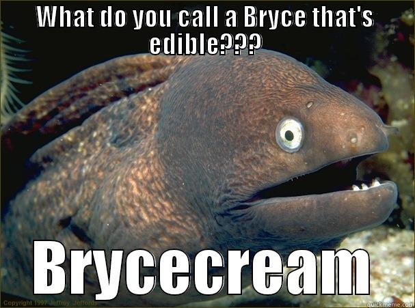 WHAT DO YOU CALL A BRYCE THAT'S EDIBLE??? BRYCECREAM Bad Joke Eel