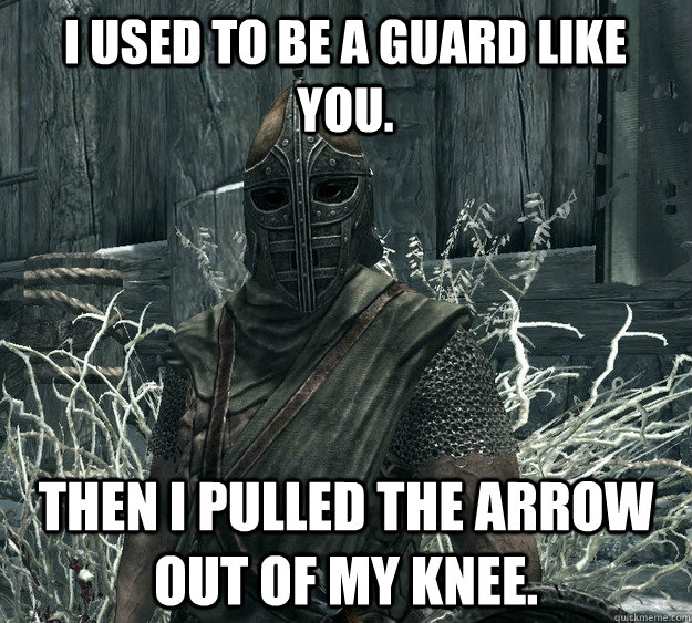 I used to be a guard like you. Then I pulled the arrow out of my knee.  Skyrim Guard