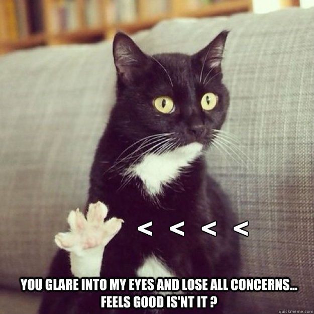 You glare into my eyes and lose all concerns... feels good is'nt it ? <   <   <   < - You glare into my eyes and lose all concerns... feels good is'nt it ? <   <   <   <  bullish has