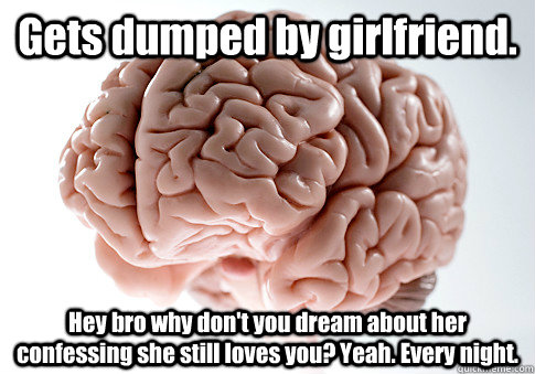 Gets dumped by girlfriend. Hey bro why don't you dream about her confessing she still loves you? Yeah. Every night.  Scumbag Brain