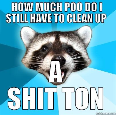 HOW MUCH POO DO I STILL HAVE TO CLEAN UP  A SHIT TON Lame Pun Coon