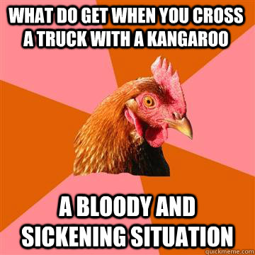 What do get when you cross a truck with a kangaroo A bloody and sickening situation   Anti-Joke Chicken