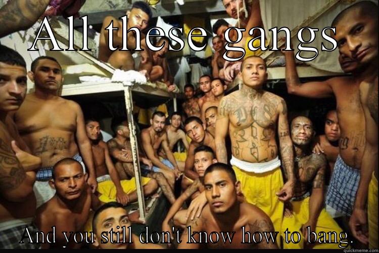 ALL THESE GANGS AND YOU STILL DON'T KNOW HOW TO BANG. Misc