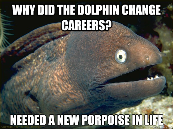 Why did the dolphin change careers? needed a new porpoise in life  Bad Joke Eel