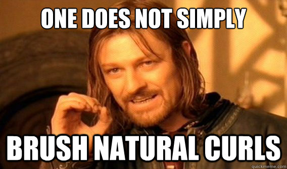 one does not simply Brush natural curls  