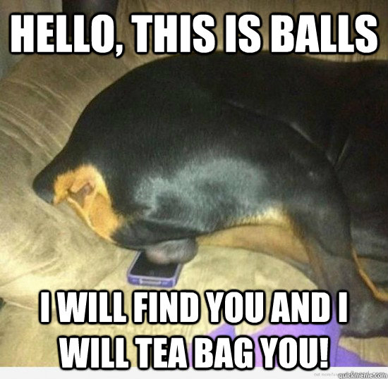 Hello, this is balls I will find you and i will tea bag you! - Hello, this is balls I will find you and i will tea bag you!  This is balls