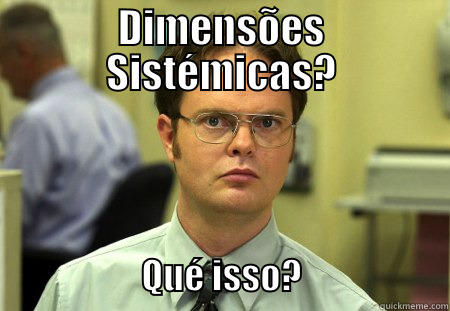 LEIC DON'T KNOW WAHT  - DIMENSÕES SISTÉMICAS?                             QUÉ ISSO?                     Schrute