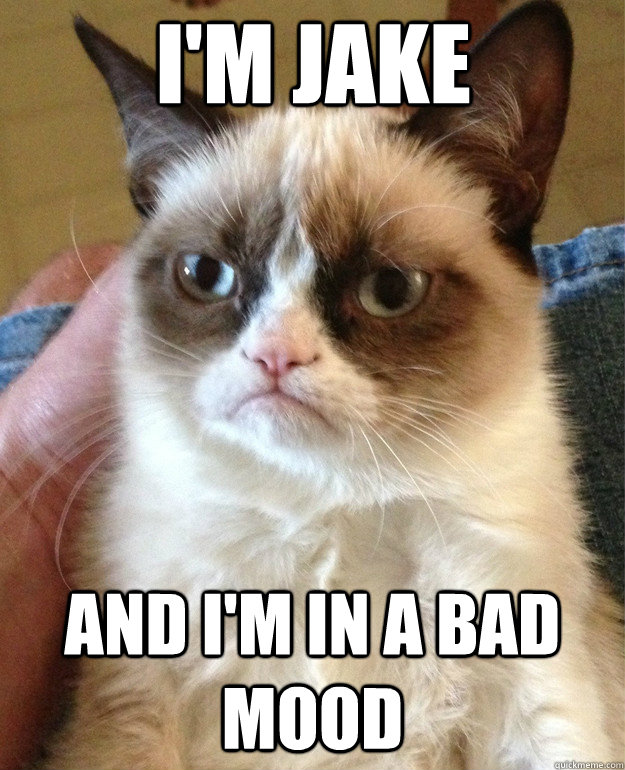 i'm jake and i'm in a bad mood  Grumpy Cat