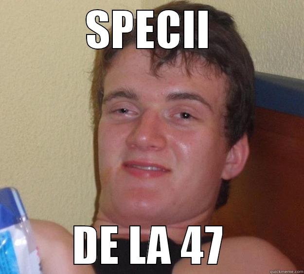 10 guy logic - SPECII DE LA 47 10 Guy